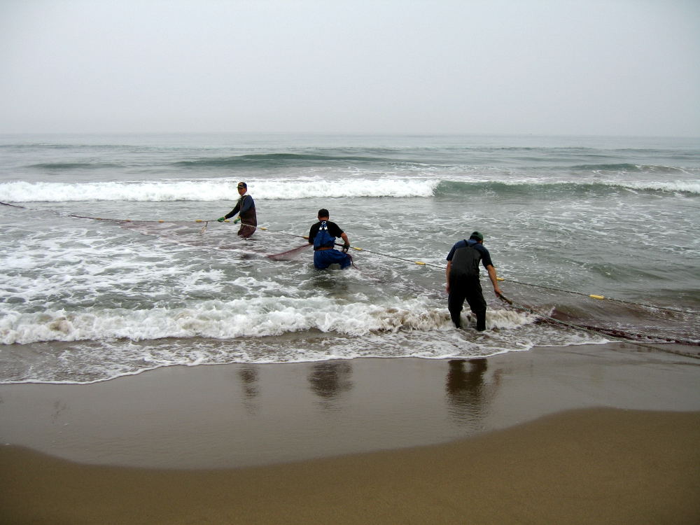 d0011587_1020564.jpg