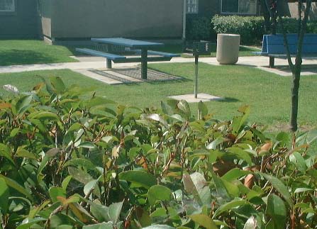 e0025390_433913.jpg