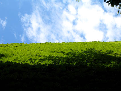 c0004193_2154115.jpg