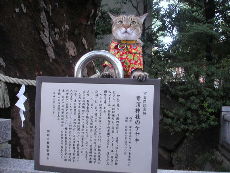e0031605_1635347.jpg