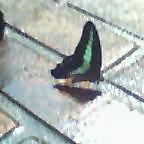 c0050522_021443.jpg