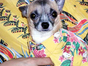 c0019050_22134438.jpg