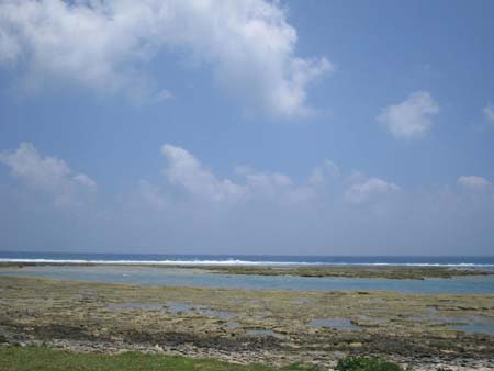 b0049152_9133620.jpg