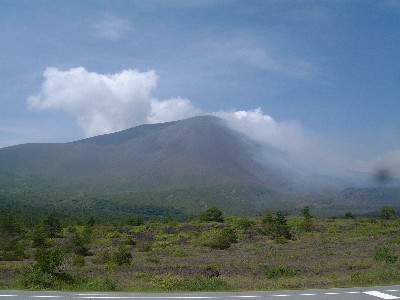 b0045357_21352244.jpg