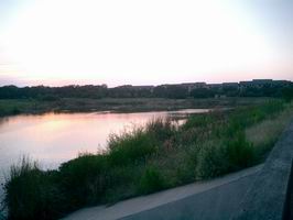 b0046462_5172465.jpg