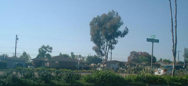 e0025390_16245390.jpg