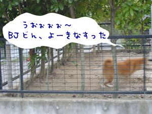 e0008833_18191359.jpg