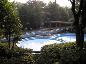d0049135_21242384.jpg