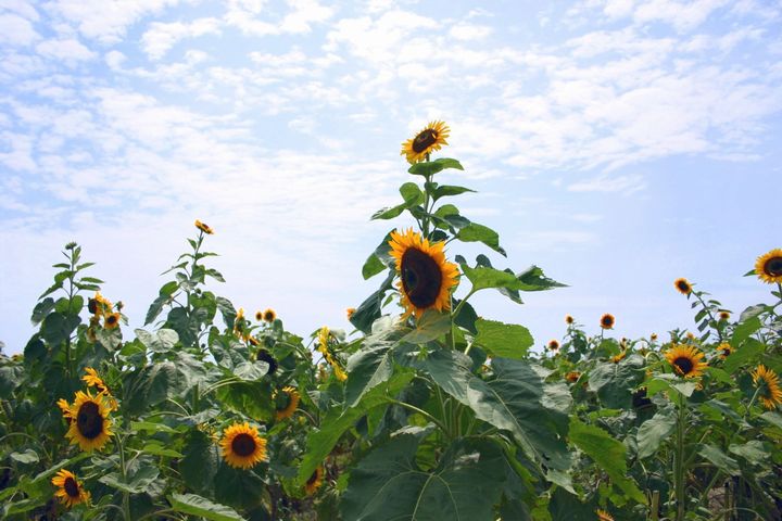 c0003036_21315893.jpg