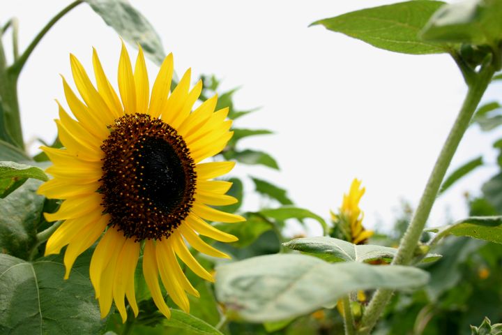 c0003036_21323612.jpg