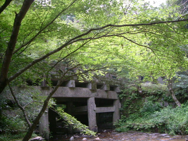 b0055171_1735150.jpg