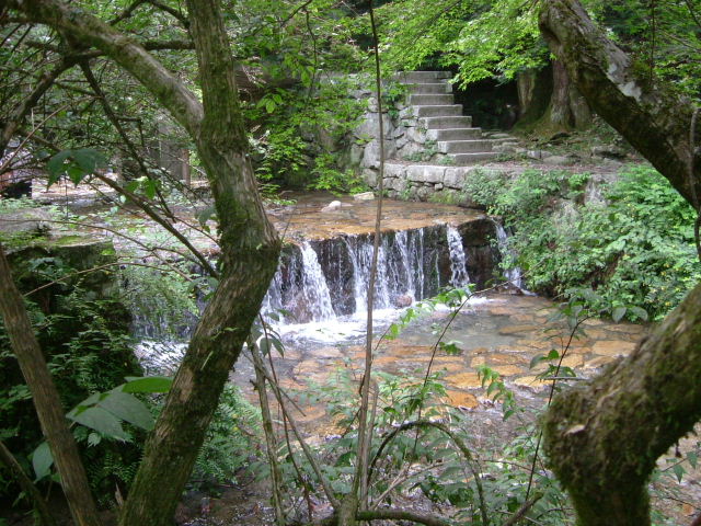 b0055171_1761298.jpg