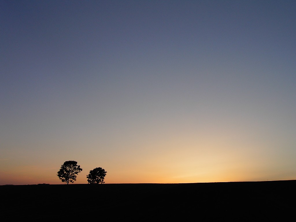 e0029582_2313827.jpg