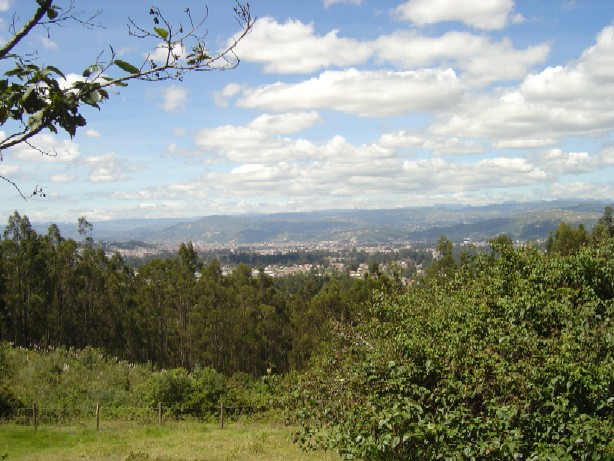 a0008885_3141941.jpg