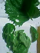 b0003089_23463937.jpg