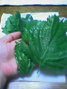 b0003089_23471160.jpg