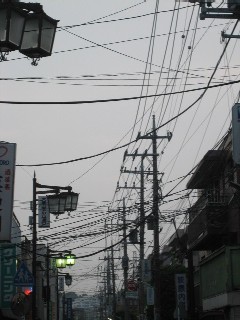 b0054391_1616018.jpg
