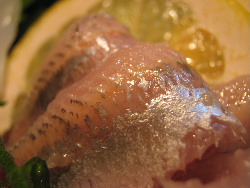 b0046210_1145691.jpg