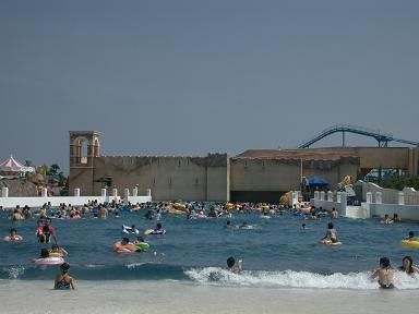 c0005619_225654.jpg