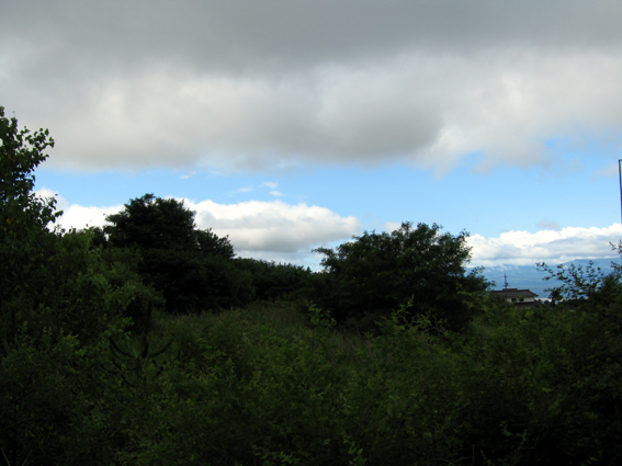 c0035838_1052149.jpg