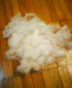 c0038746_212181.jpg