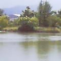b0049549_11023100.jpg