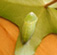 d0029958_18264422.jpg