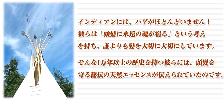b0052971_9191431.gif