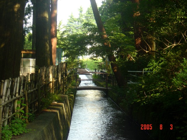 a0005691_2243231.jpg