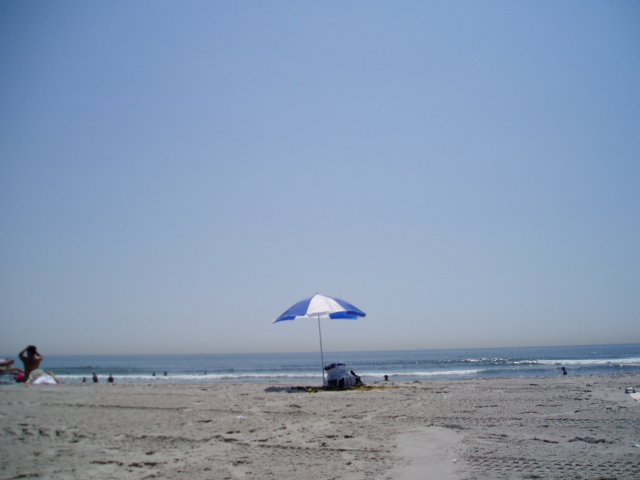 c0037103_1183010.jpg