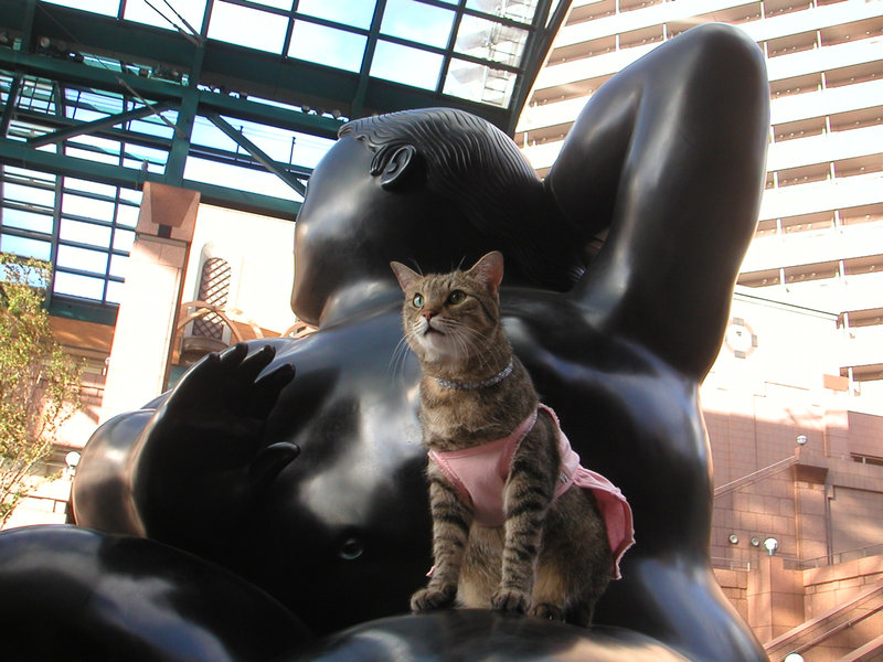 e0031605_20123042.jpg