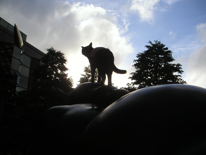 e0031605_201303.jpg