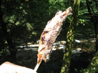 c0032530_11155818.jpg