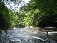 c0032530_11194656.jpg