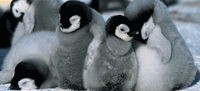 d0000530_9444820.gif