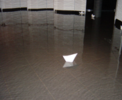 c0058653_22361991.jpg