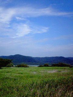 c0060659_19394947.jpg