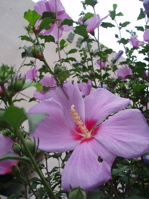 b0061261_14254873.jpg