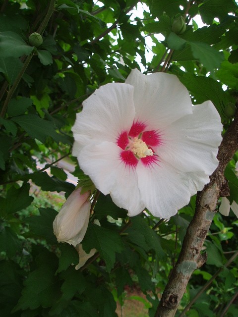 b0061261_1426485.jpg