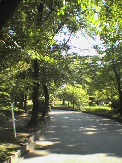e0023564_18274594.jpg