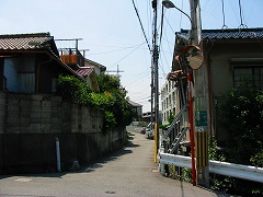 b0042882_222633.jpg