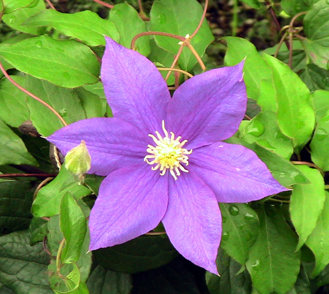 c0016987_14472715.jpg