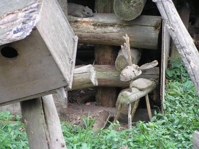 c0034595_2205142.jpg