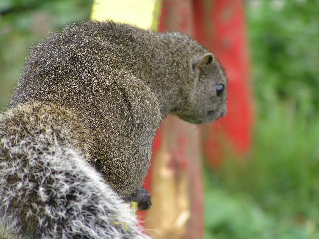 c0034595_22121555.jpg