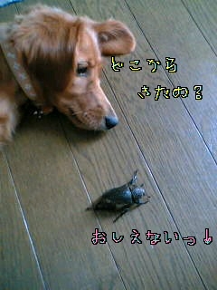d0046905_1563991.jpg
