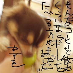 c0036617_8184148.jpg