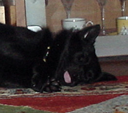 b0066826_1722362.jpg