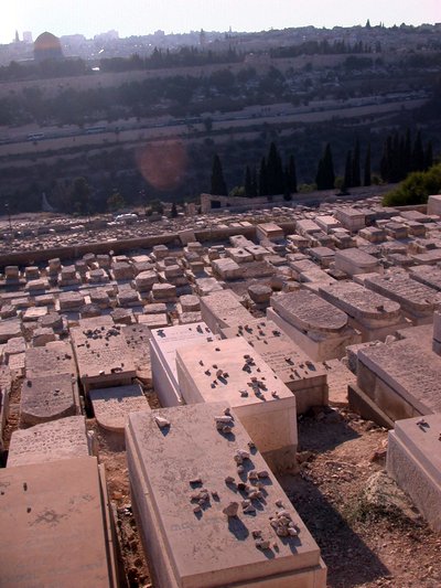 e0037131_2324939.jpg