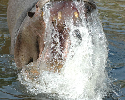 e0035757_014130.jpg