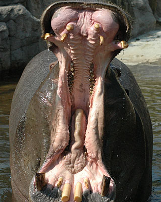 e0035757_032483.jpg